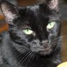 Spunky0613's profile picture