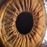 Zjalarre's profile picture