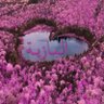 Profilbild von اَلْـبـازِيــِــه