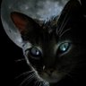 Profilbild von viciosin