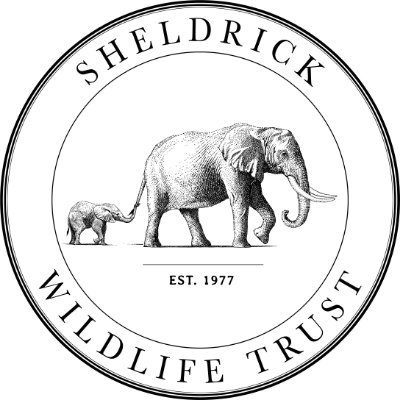 Sheldrick Wildlife Trust's profile picture