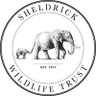 Sheldrick Wildlife Trust profil fotoğrafı