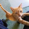 Arthur+ profil fotoğrafı