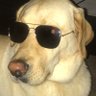n's profile picture