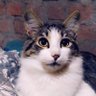 Profilbild von Juana