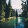 سبحان الله العظيم.'s profile picture