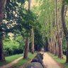 Travel Lover - Bosnia 的头像