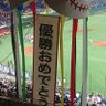 社会人野球のミカタ📰 profil fotoğrafı
