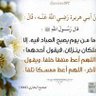 أبوبكر البوراوي 的头像