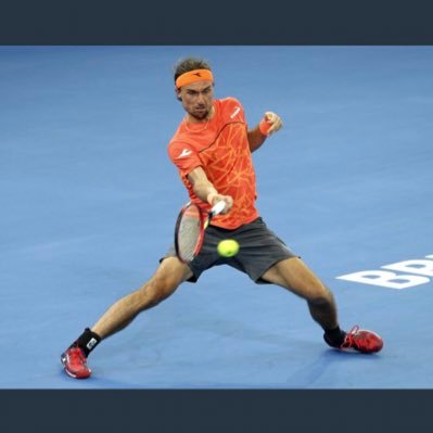 TheDolgo's profile picture