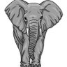 Elephant Tweets 🐘's profile picture
