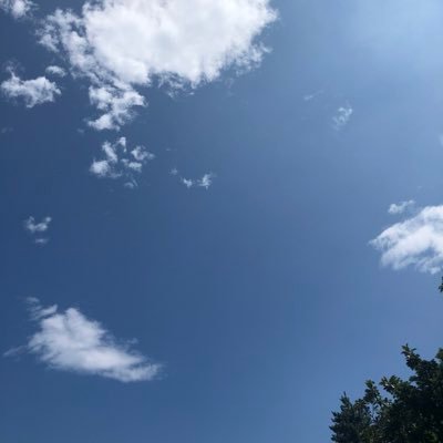 _LUIVE_'s profile picture