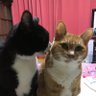 リリー profil fotoğrafı