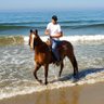 Kevin Harrington profil fotoğrafı