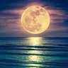 mrmoonlight 的头像