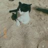 Sun's profile picture