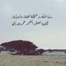 Abu Turki 的头像
