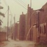 ملك's profile picture