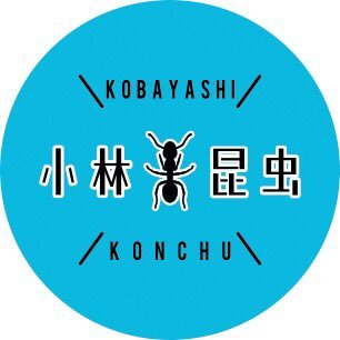 kobayashikonchu's profile picture