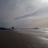 Jorgecapo66's profile picture