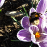 Margriet49 profil fotoğrafı