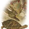 Aesop_Disciple profil fotoğrafı