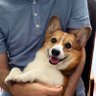 Profilbild von fuguman777