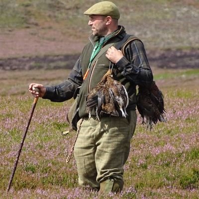 engines_gundogs's profile picture