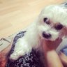 ココブン's profile picture