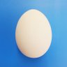 aki's profile picture