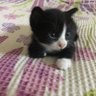 ihmlss profil fotoğrafı
