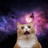 Profilbild von atreb