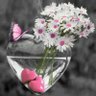 نفثة مصدور profil fotoğrafı