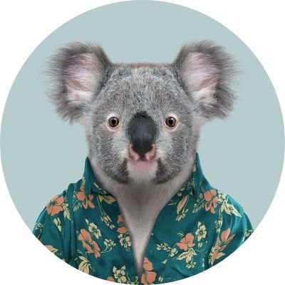 queenslandjp's profile picture