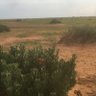 to veiw profil fotoğrafı