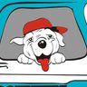 Hometeamdawg 的头像