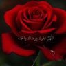 Фото профиля M