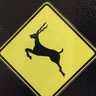 Kilgore Trout's profile picture