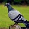 Фото профиля Steve23626