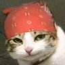 Profilbild von chenjm