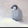 Фото профиля かえるピョコピョコ