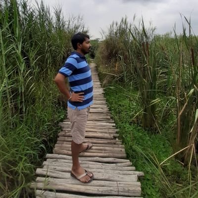 Arindam Majumder's profile picture