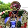 Sundararaman🇮🇳 profil fotoğrafı