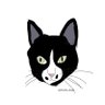 しょーた's profile picture