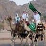 مرضي عبدالله التمامي 的头像