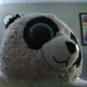 Timmy the panda 的头像