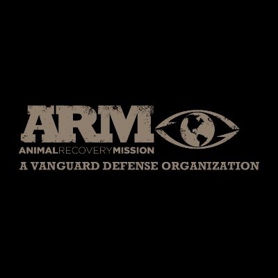 ARMInvestigatio's profile picture