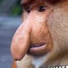 Michaล profil fotoฤrafฤฑ