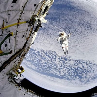 amazing_physics's profile picture