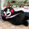 少佐's profile picture